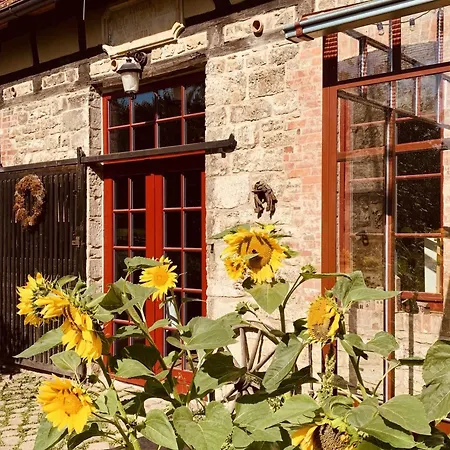 Kulturgut * Ulrichshalben