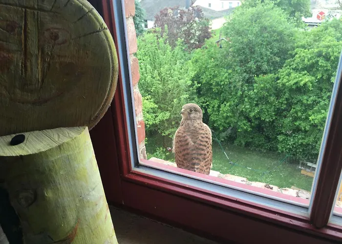 Kulturgut Appartement